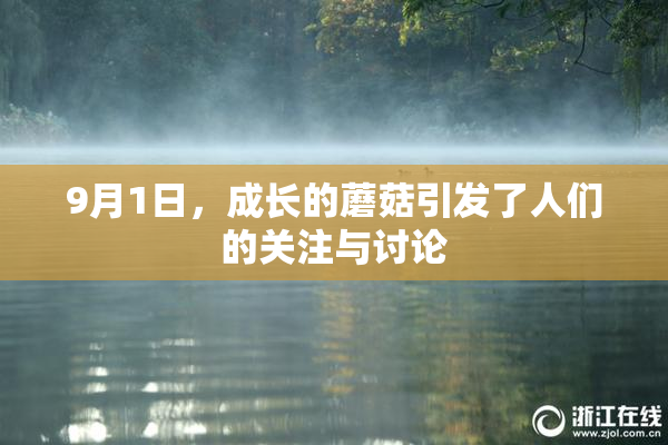 9月1日，成长的蘑菇引发了人们的关注与讨论