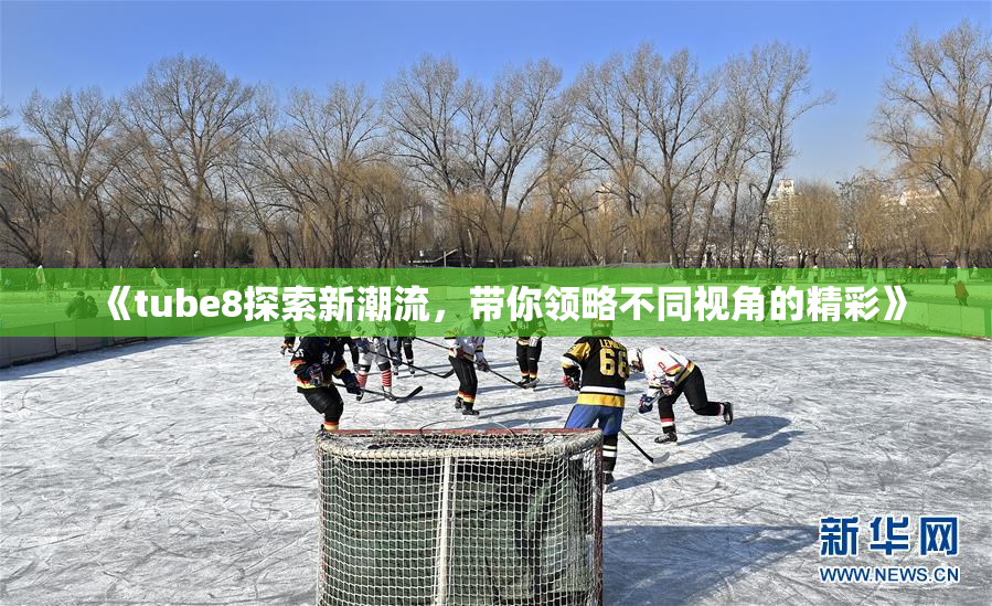 《tube8探索新潮流，带你领略不同视角的精彩》