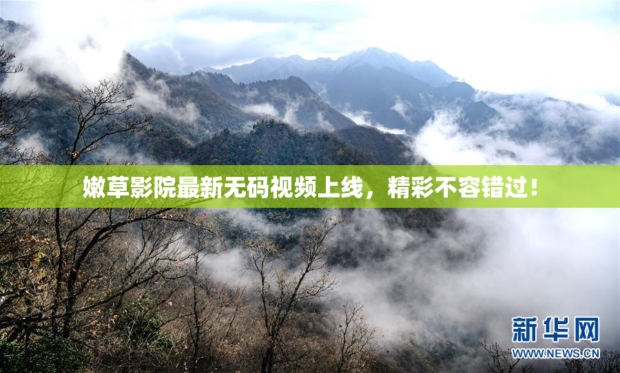 嫩草影院最新无码视频上线，精彩不容错过！