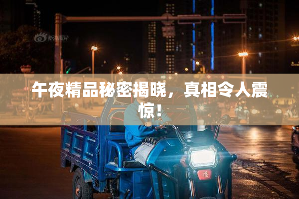 午夜精品秘密揭晓，真相令人震惊！