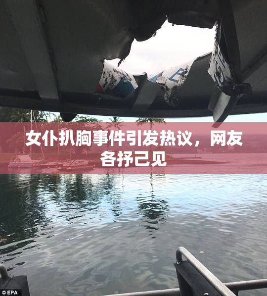 女仆扒胸事件引发热议，网友各抒己见
