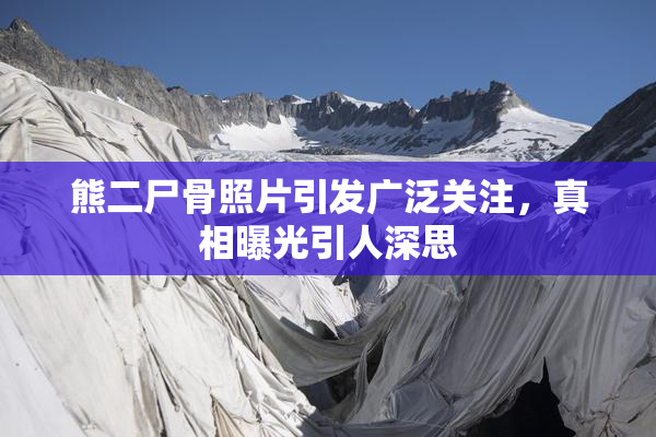熊二尸骨照片引发广泛关注，真相曝光引人深思