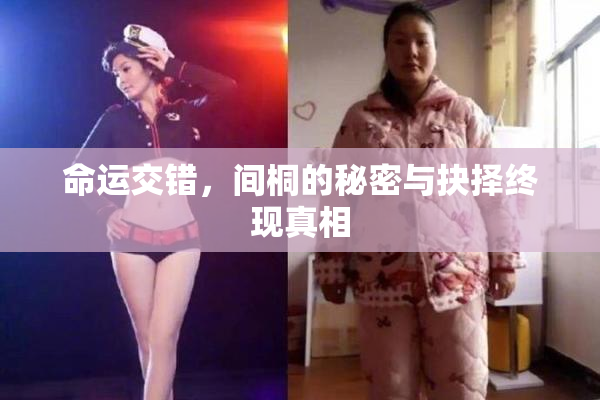 命运交错，间桐的秘密与抉择终现真相