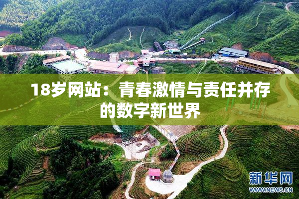 18岁网站：青春激情与责任并存的数字新世界