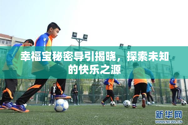 幸福宝秘密导引揭晓，探索未知的快乐之源