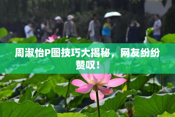 周淑怡P图技巧大揭秘，网友纷纷赞叹！