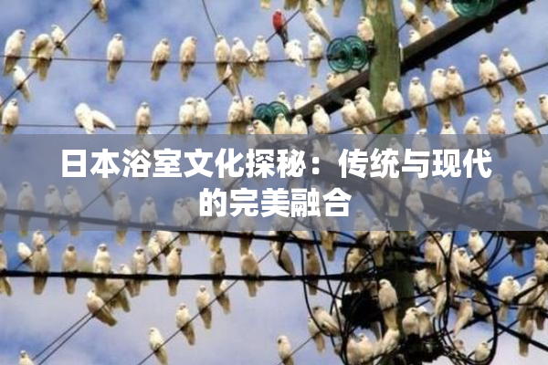日本浴室文化探秘：传统与现代的完美融合
