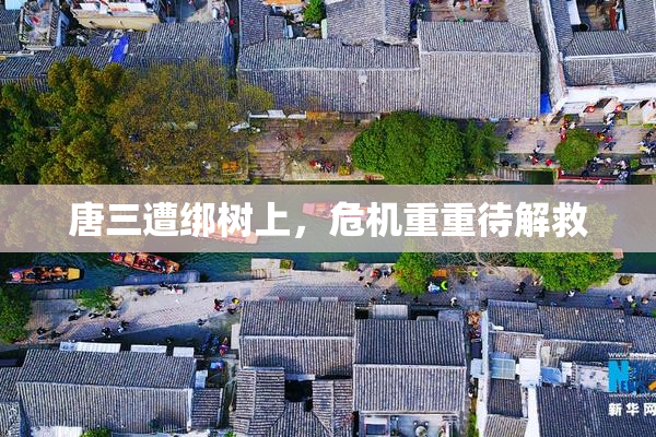唐三遭绑树上，危机重重待解救