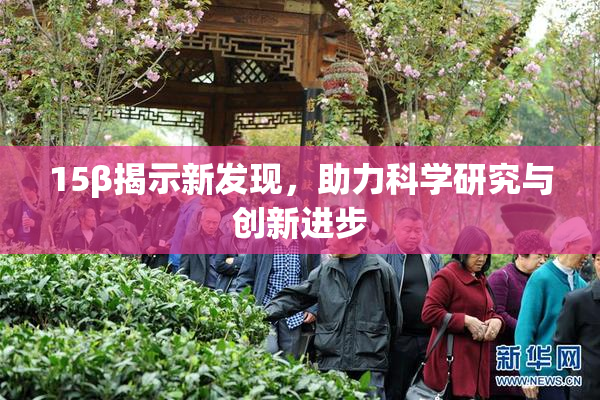 15β揭示新发现，助力科学研究与创新进步