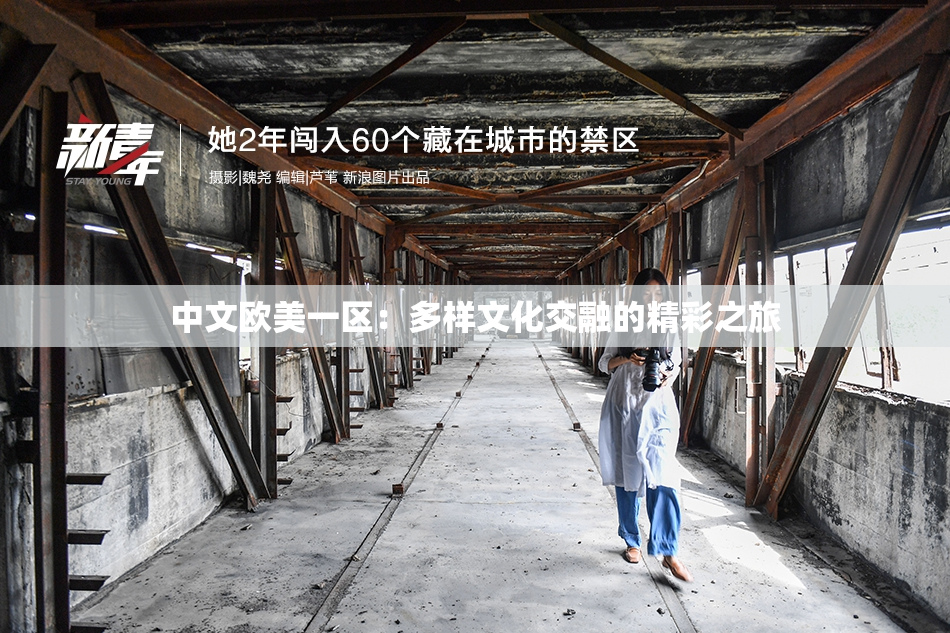 中文欧美一区：多样文化交融的精彩之旅