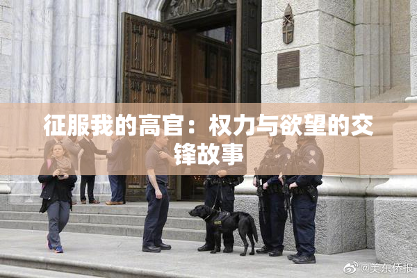 征服我的高官：权力与欲望的交锋故事