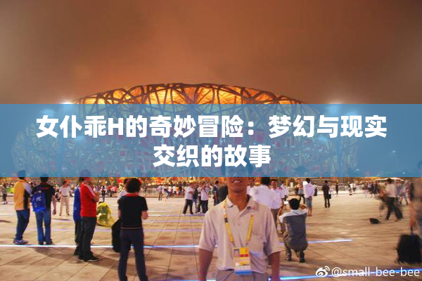 女仆乖H的奇妙冒险：梦幻与现实交织的故事