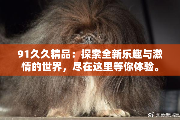 91久久精品：探索全新乐趣与激情的世界，尽在这里等你体验。