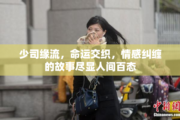 少司缘流，命运交织，情感纠缠的故事尽显人间百态