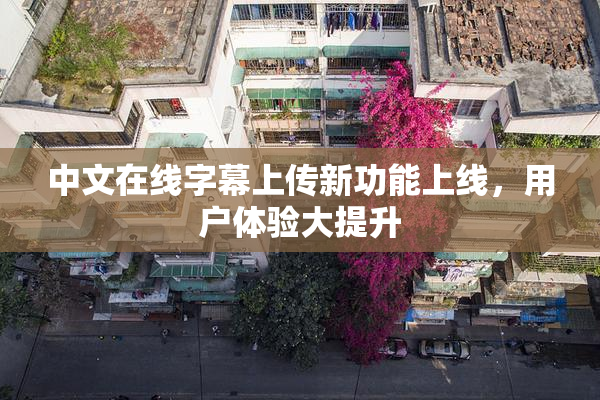中文在线字幕上传新功能上线，用户体验大提升