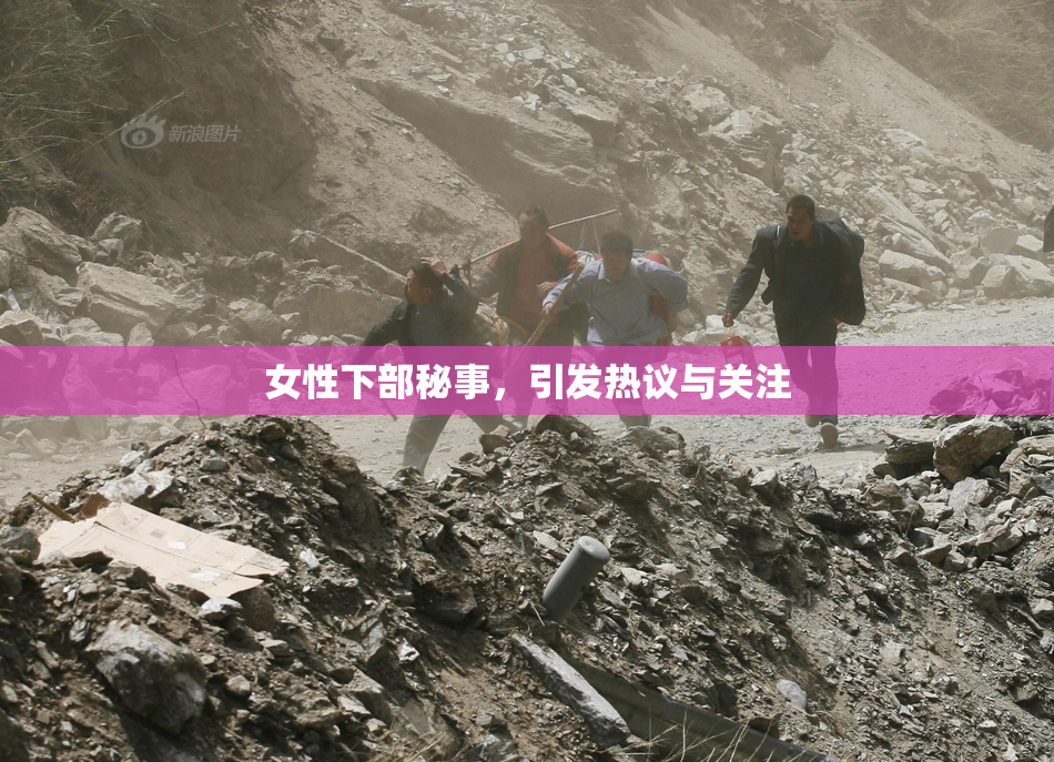 女性下部秘事，引发热议与关注