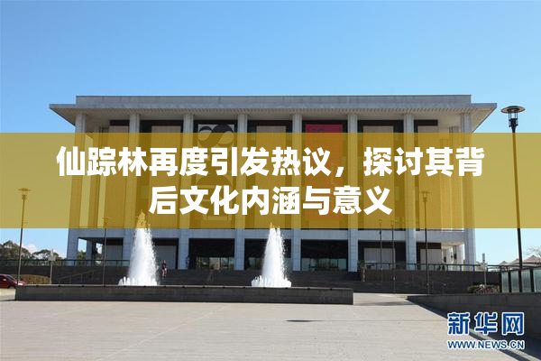 仙踪林再度引发热议，探讨其背后文化内涵与意义