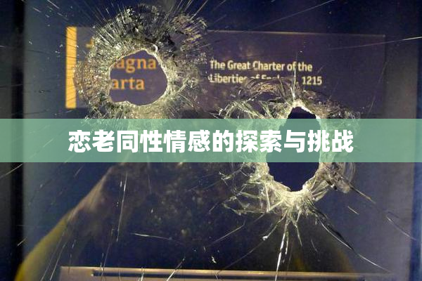 恋老同性情感的探索与挑战