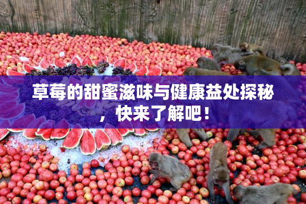 草莓的甜蜜滋味与健康益处探秘，快来了解吧！