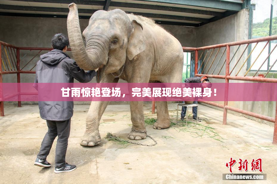 甘雨惊艳登场，完美展现绝美裸身！