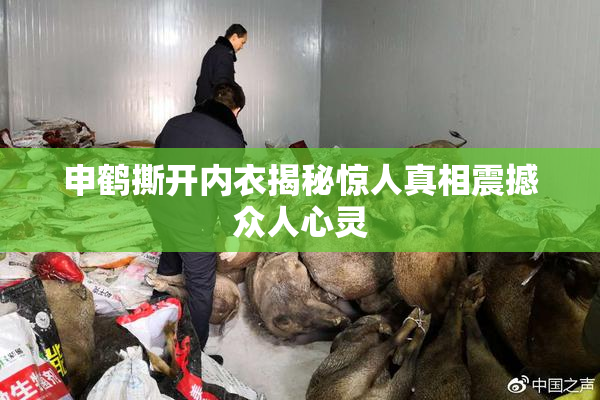 申鹤撕开内衣揭秘惊人真相震撼众人心灵