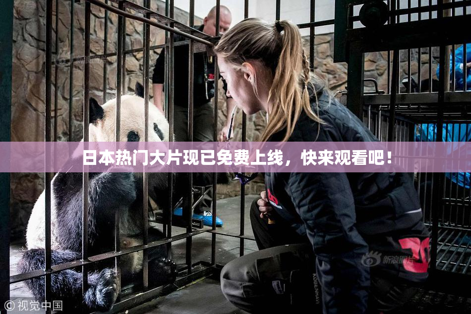 日本热门大片现已免费上线，快来观看吧！