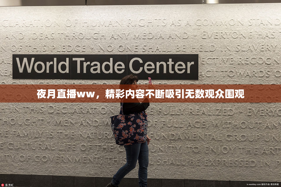 夜月直播ww，精彩内容不断吸引无数观众围观
