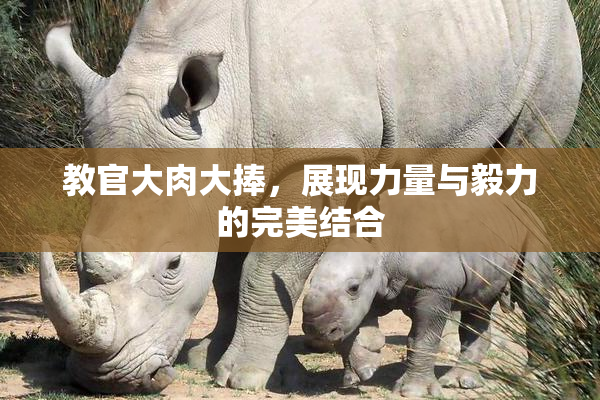 教官大肉大捧，展现力量与毅力的完美结合