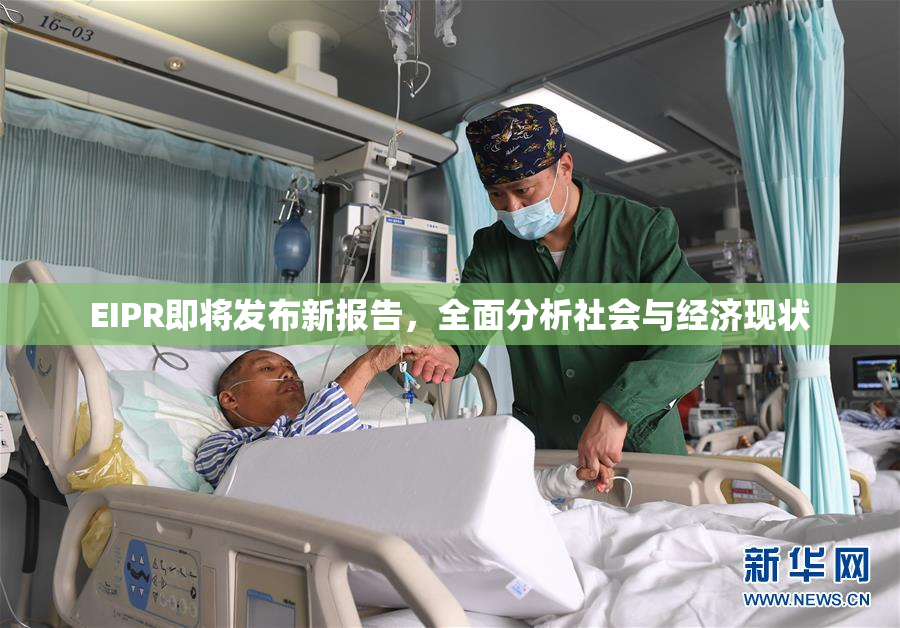 EIPR即将发布新报告，全面分析社会与经济现状