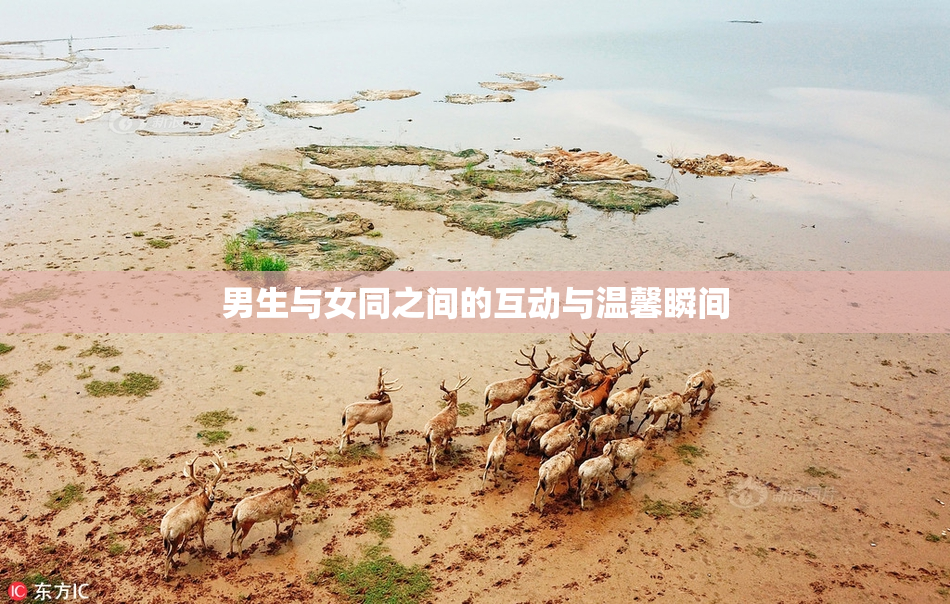 男生与女同之间的互动与温馨瞬间