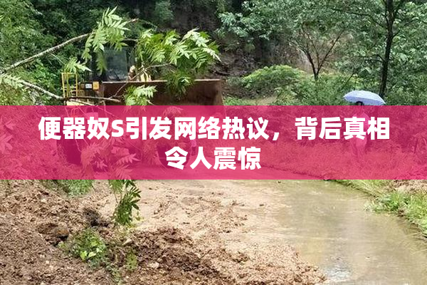 便器奴S引发网络热议，背后真相令人震惊