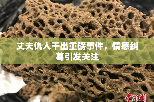 丈夫仇人干出重磅事件，情感纠葛引发关注