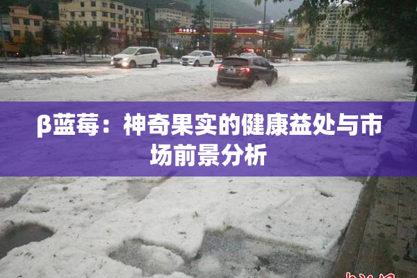 β蓝莓：神奇果实的健康益处与市场前景分析
