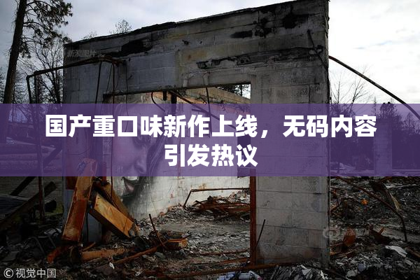 国产重口味新作上线，无码内容引发热议