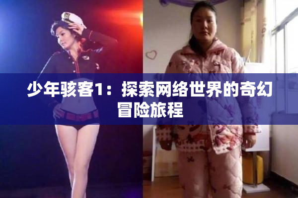 少年骇客1：探索网络世界的奇幻冒险旅程