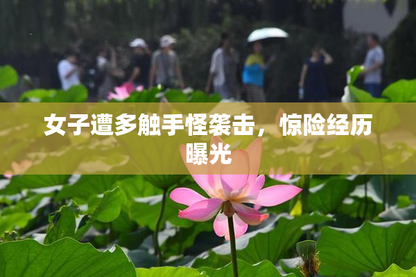 女子遭多触手怪袭击，惊险经历曝光