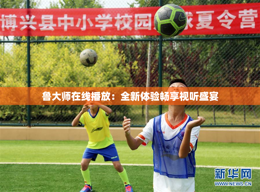 鲁大师在线播放：全新体验畅享视听盛宴