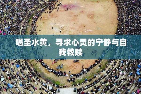 喝圣水黄，寻求心灵的宁静与自我救赎