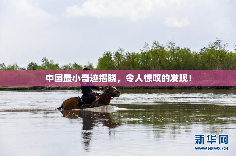 中国最小奇迹揭晓，令人惊叹的发现！