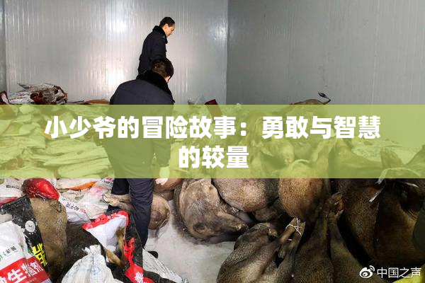 小少爷的冒险故事：勇敢与智慧的较量