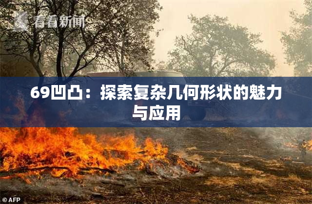 69凹凸：探索复杂几何形状的魅力与应用