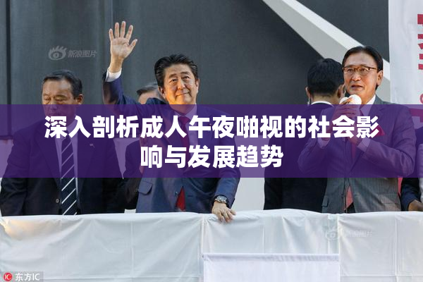 深入剖析成人午夜啪视的社会影响与发展趋势