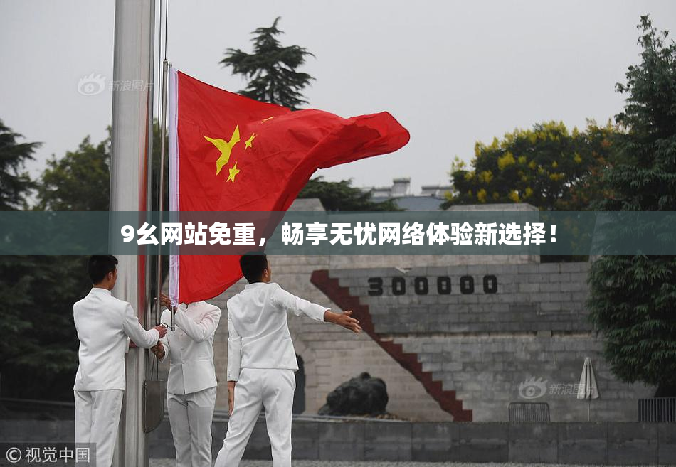 9幺网站免重，畅享无忧网络体验新选择！