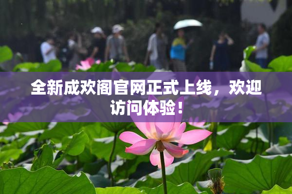 全新成欢阁官网正式上线，欢迎访问体验！