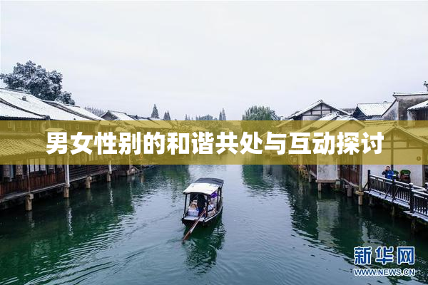 男女性别的和谐共处与互动探讨