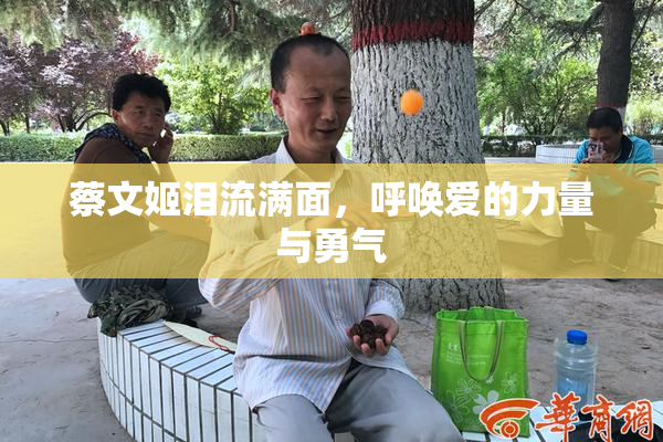 蔡文姬泪流满面，呼唤爱的力量与勇气