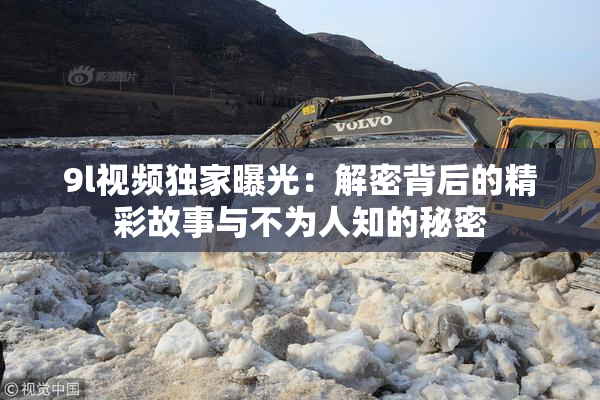 9l视频独家曝光：解密背后的精彩故事与不为人知的秘密
