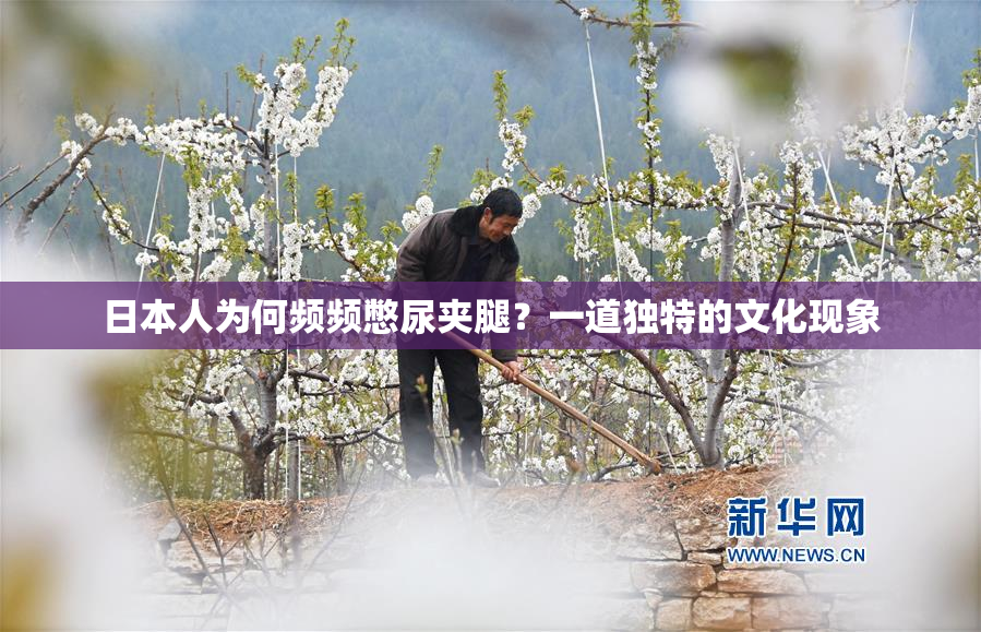 日本人为何频频憋尿夹腿？一道独特的文化现象