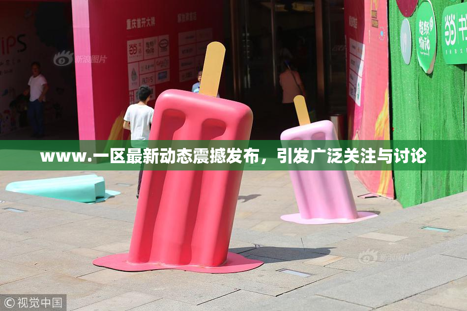 www.一区最新动态震撼发布，引发广泛关注与讨论