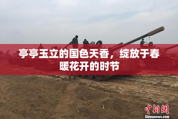 亭亭玉立的国色天香，绽放于春暖花开的时节